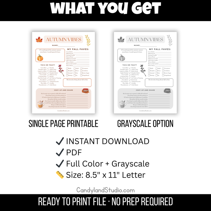 Autumn Vibes Get to Know Me Questionnaire | Fall Icebreaker & Reflection Printable