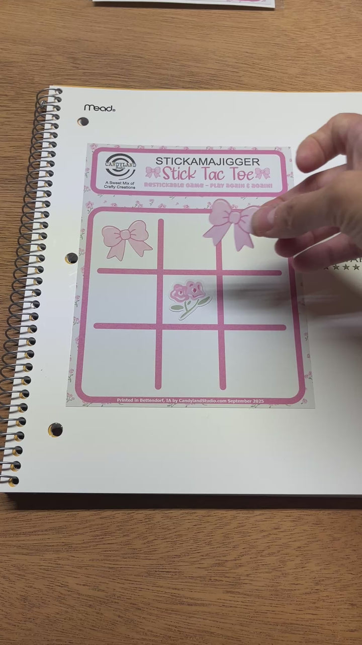 Pink Bows & Floral Reusable Tic Tac Toe Sticker Game